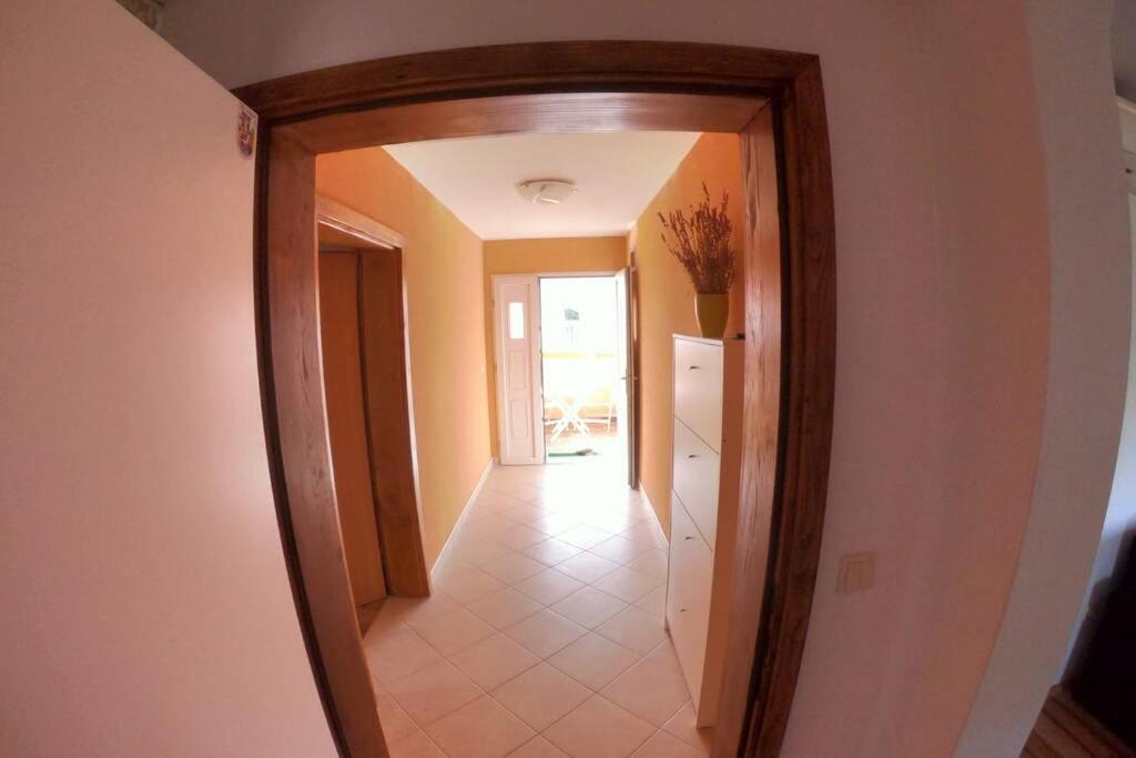 Comfortable Apartment Near Pula Marčana Exteriör bild